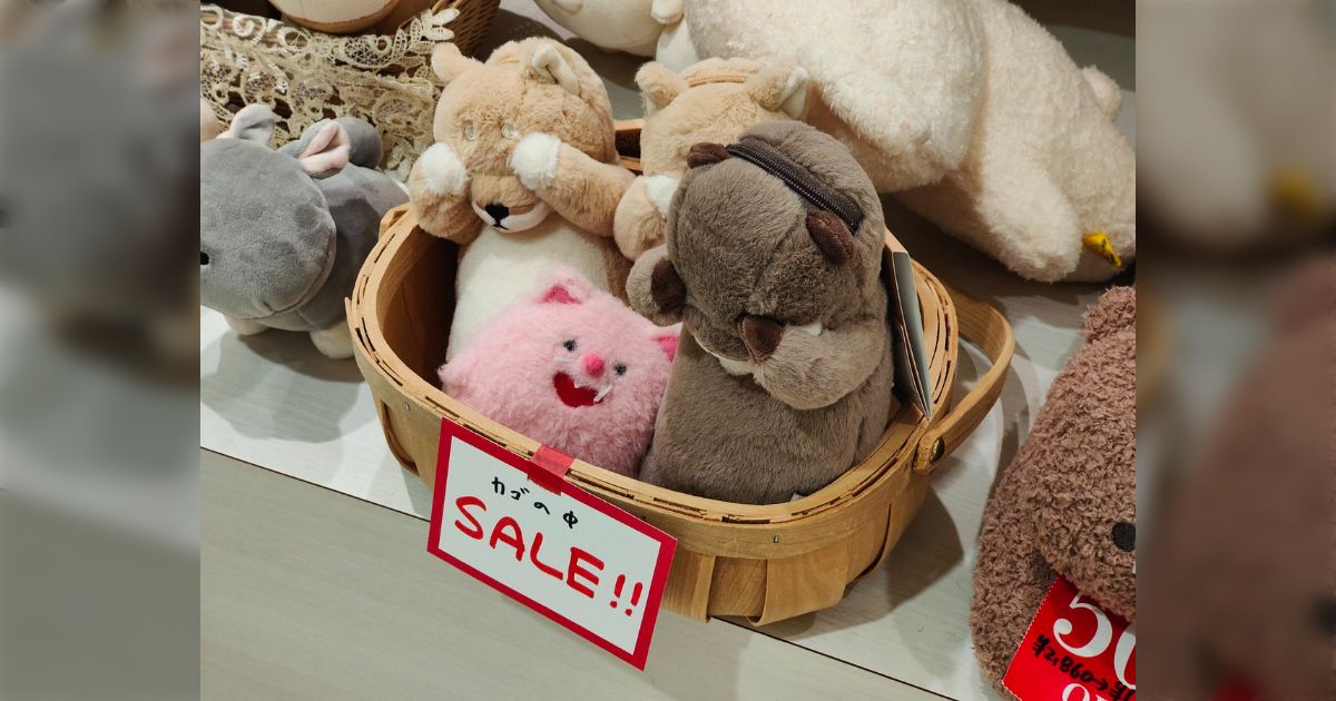 安売りされてるのを一人だけ分かってなさそう」SALE中のカゴの中で一匹 
