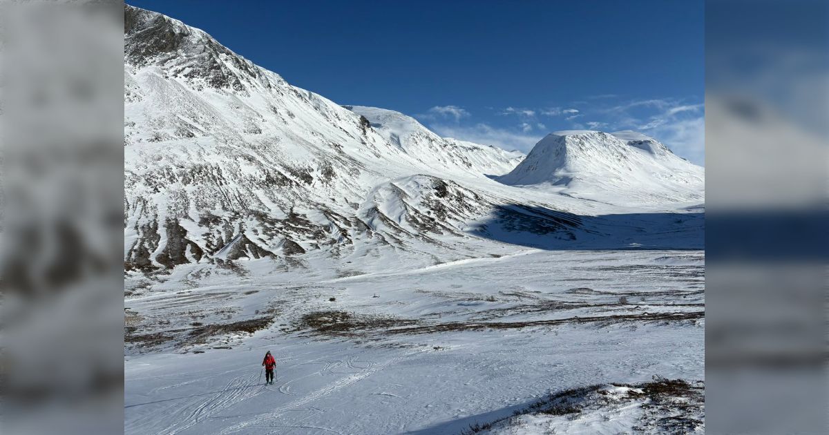 登山アパレルメーカーに『もっと地味な色にしろ😤』って言うの山で死にたいのか？って感想しかない→同意する意見やタウンユースしたい人の意見など集まる