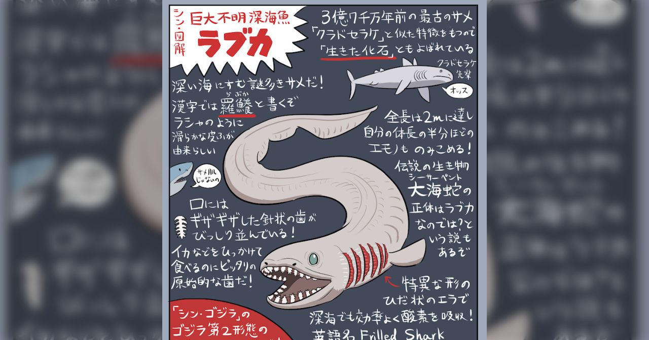 シン・ゴジラ』“蒲田くん”のモチーフとなった深海魚「ラブカ」の図解がわかりやすい！ - Togetter [トゥギャッター]