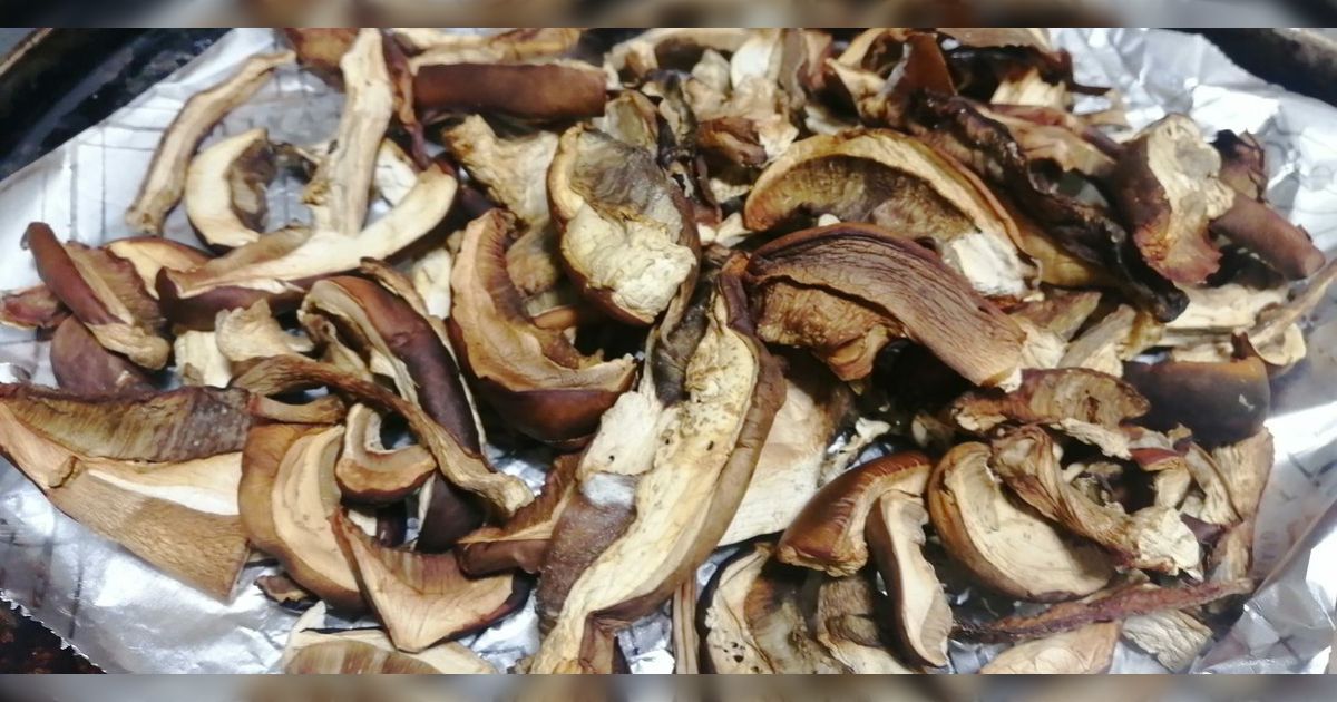 なんでキノコの中でしいたけばかりが干されるんですか？虐げられていませんか？「生きのこるためです」大喜利としいたけの歴史が学べるツリー