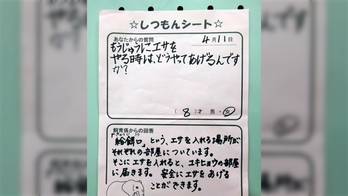 かわいい女子小学生　掲示板 