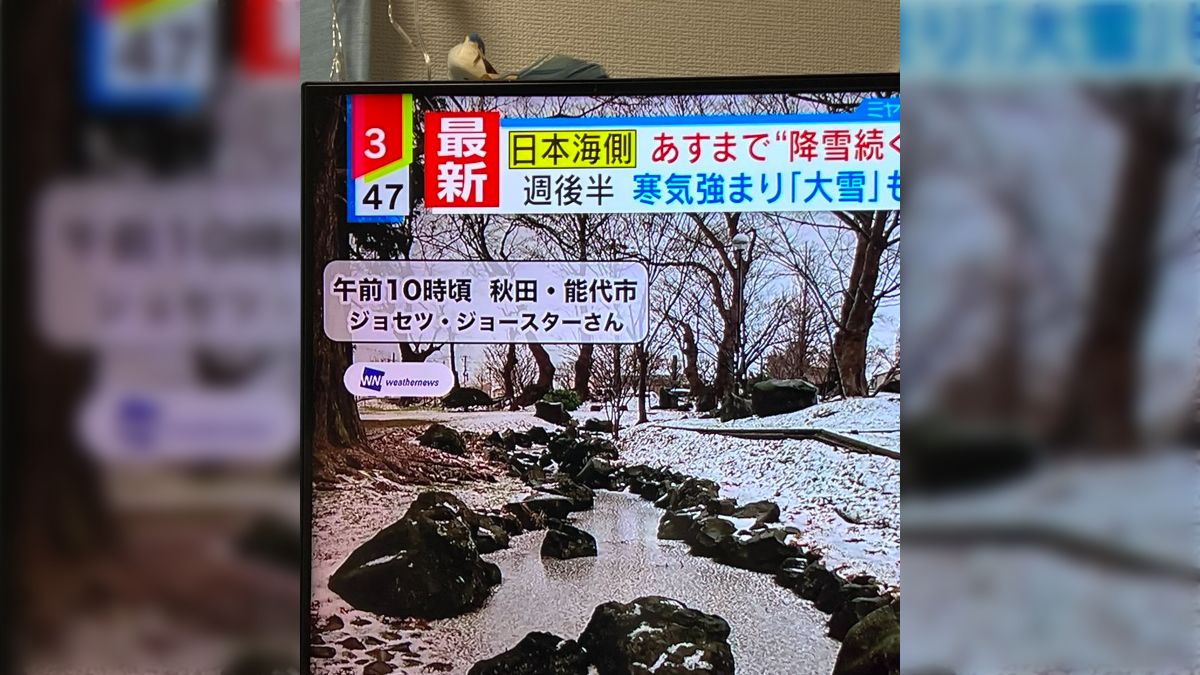 ミヤネ屋の天気予報のコーナーで突如現れた画像提供者ジョセツ