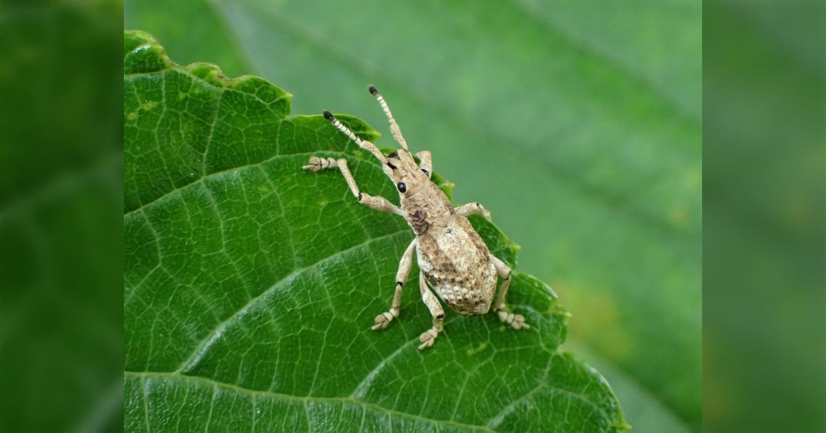 発表した記録・報告
