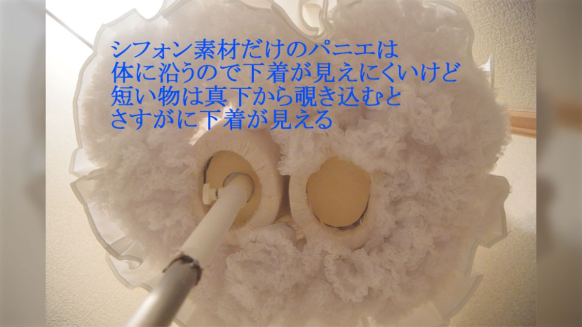 デブJSパンチラ 