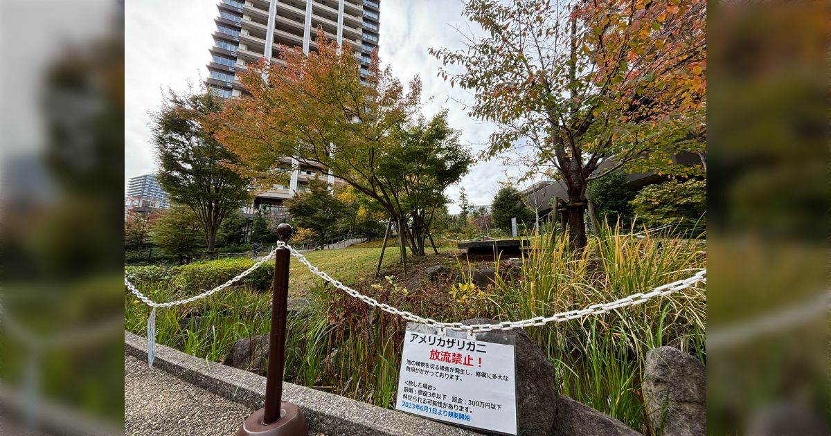 目黒の超高級タワマンで住人に四季を感じてもらうべく中庭にビオトープ的な池を作ったところ周辺のキッズがザリガニを放流して生態系が終わってしまったらしい