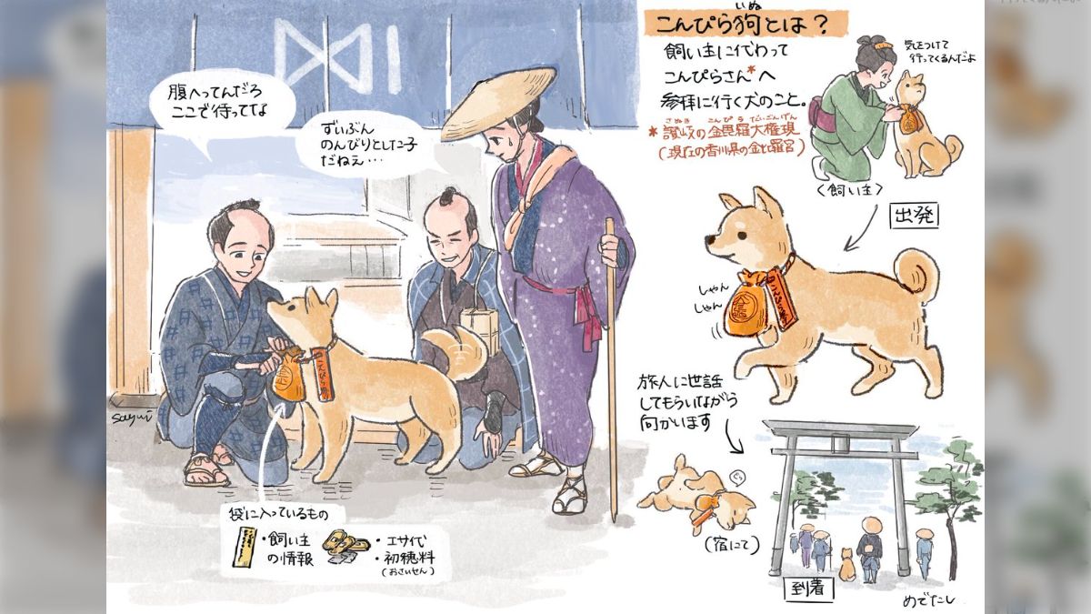 官能劇画　犬 江戸時代には人の代わりにこんぴらさんへお参りに行ってくれる犬がいたらしい「犬!? めっちゃ可愛い」 - Togetter [トゥギャッター]