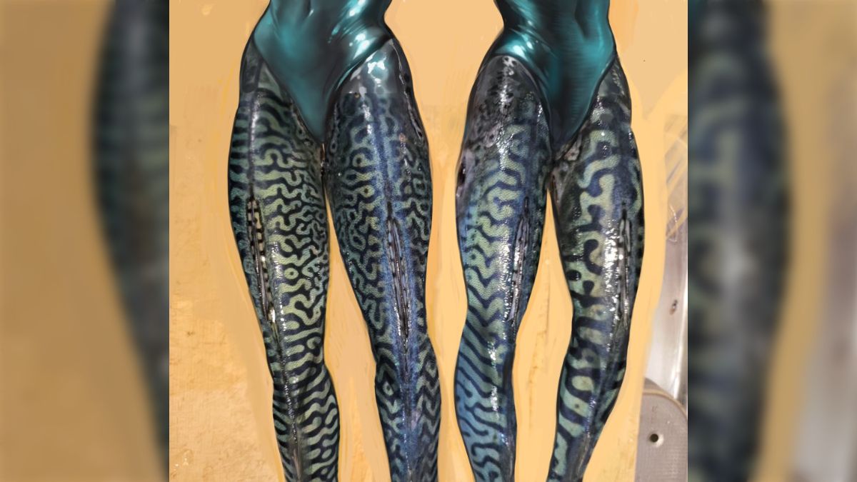 女子小学生タイツ姿 サバの模様の個体差」画像を元に井上純一先生が描いたタイツみたいなイラストが艶めかし過ぎる、カエルの足に見えるヒトも - Togetter  [トゥギャッター]