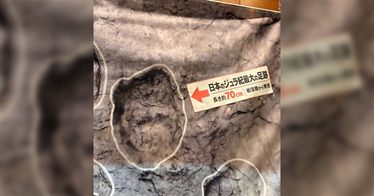 「南相馬でとんでもない発見」ジュラ紀の地層から竜脚類の足跡を発掘…日本最大の70cm「10年かけて何か見つかればと思っていたら、掘削4回目でへこみ発見、5回目で足跡と確認」