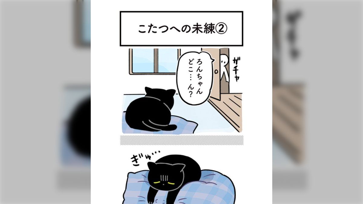 黒猫のろんさん、こたつ撤去により最高のお昼寝スポットを失って