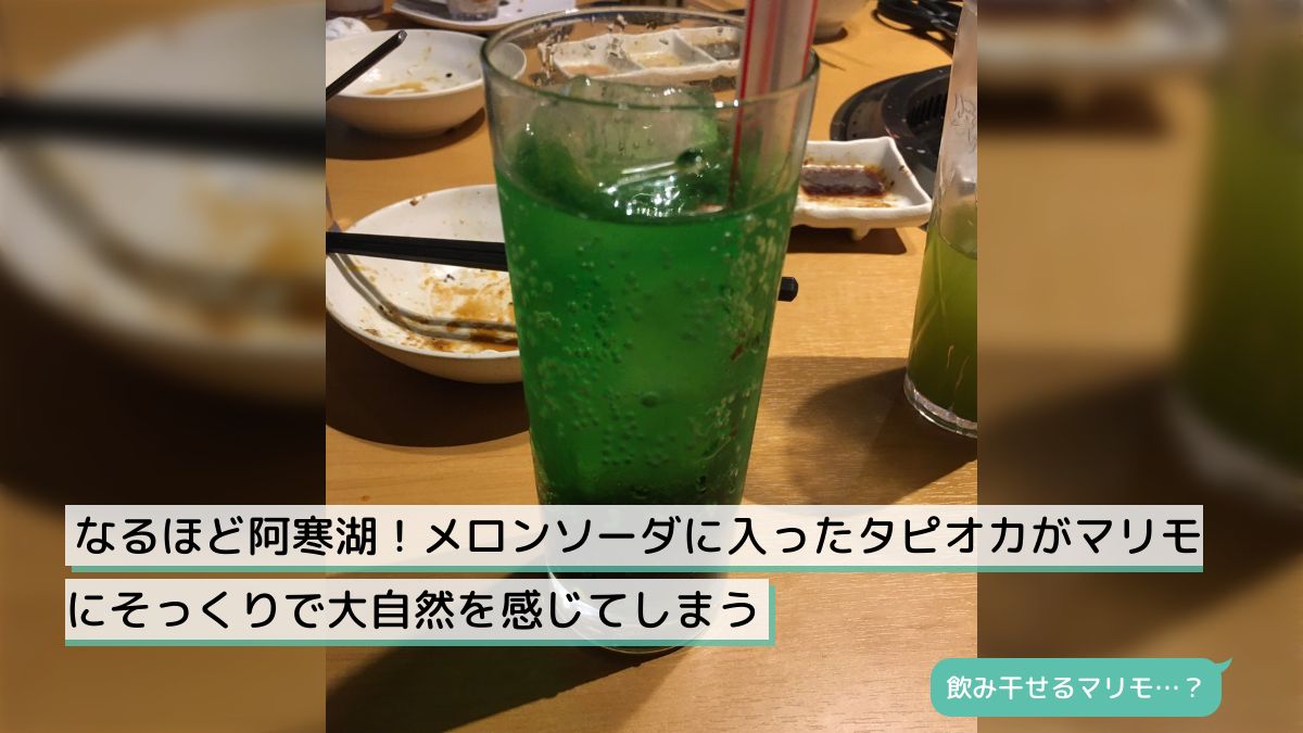 なるほど阿寒湖！メロンソーダに入ったタピオカがマリモにそっくりで大 