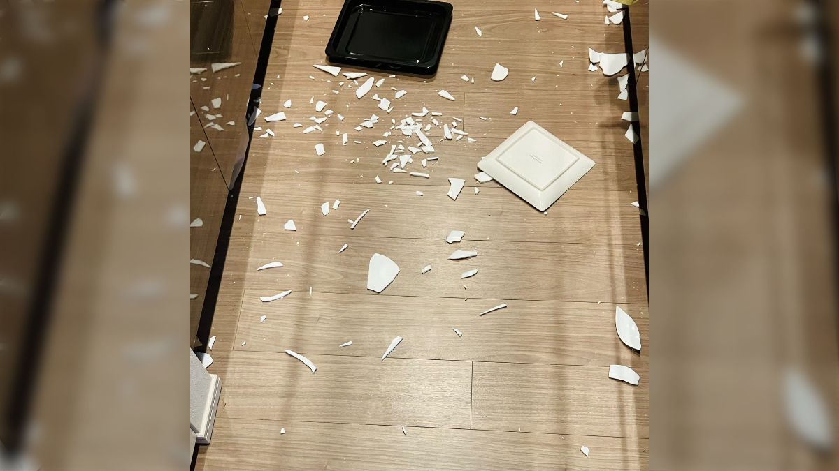 大皿　割れ画像 ヤマザキ春のパンまつりのお皿、割れる時も祭りなんて聞いてない」強化