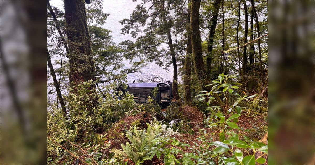 乗せてもらってた友達の車が事故って湖へ落下、お互いに生存を確認したあと書きかけの論文が入ったPCを回収してなんとか帰還した→「映画のワンシーンかな？」