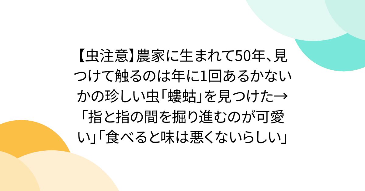 【虫注意】農家に生まれて50年、見つけて触るのは年に1回あるかないかの珍しい虫「螻蛄」を見つけた→「指と指の間を掘り進むのが可愛い」「食べると味は悪くないらしい」