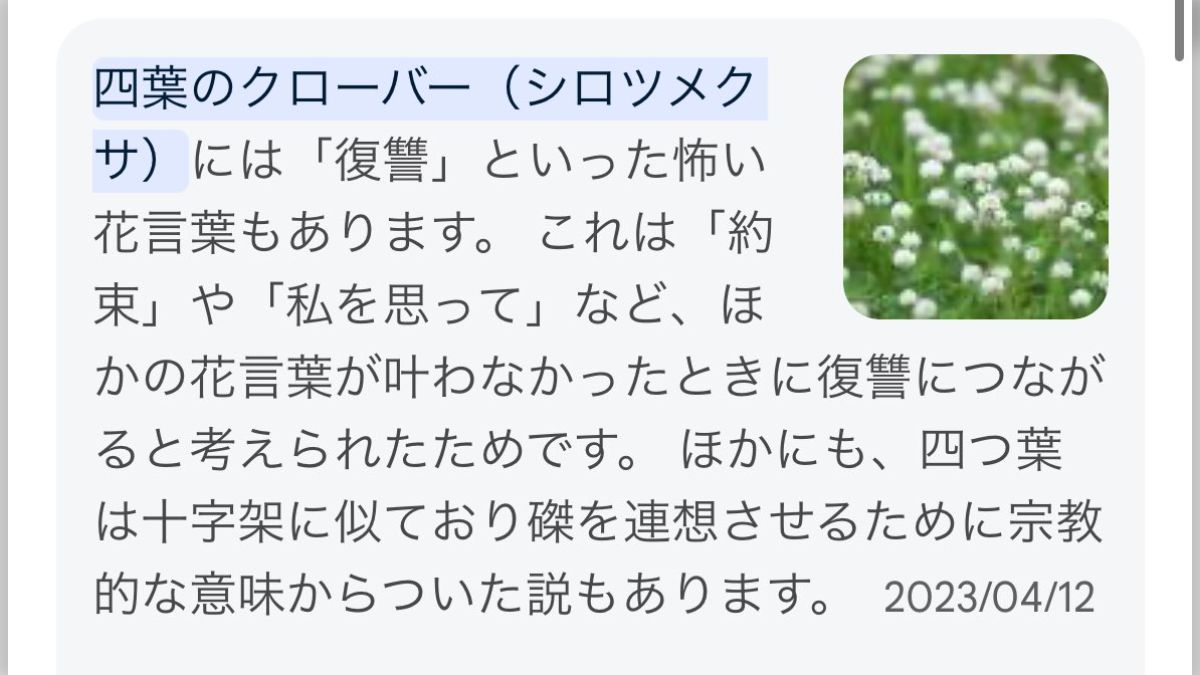 有吉の壁で四つ葉のクローバーの花言葉が「復讐」だと知って「本当か？」と思ったがどうやら本当だった…🍀 - posfie