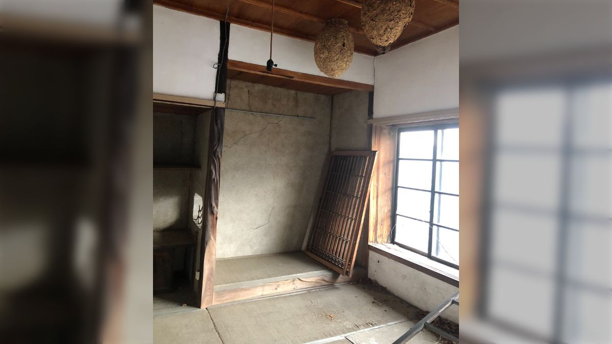 ⚠️近日処分】特大 スズメバチの巣 特注ガラスケース入り 希少 縁起物 