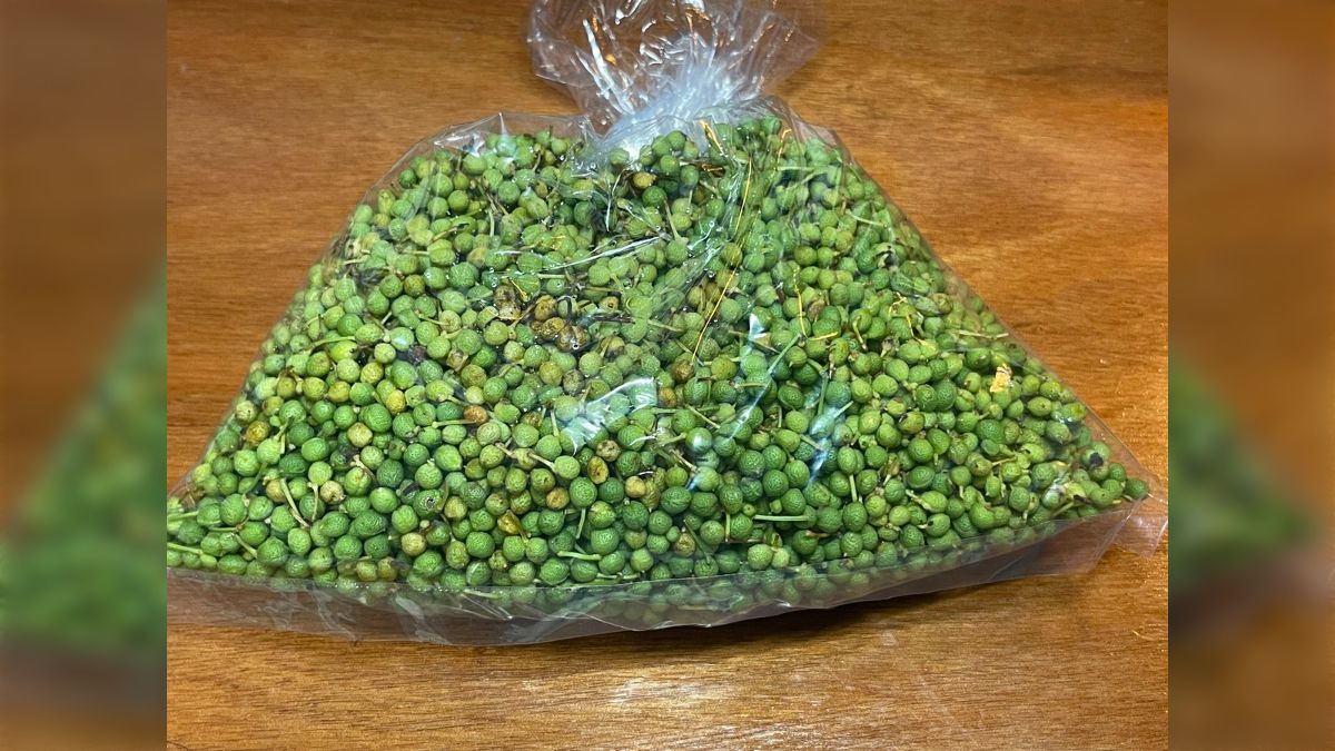 一袋100円で大量の山椒の実を入手したけど調理法が分からん
