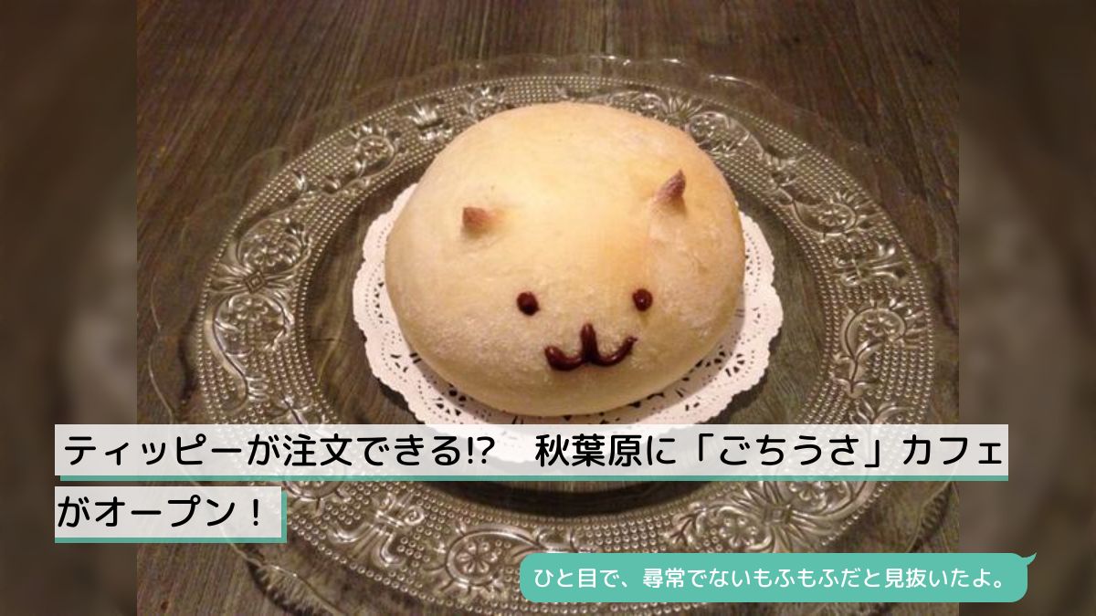 ごちうさ 2014 シャッツキステ コースター