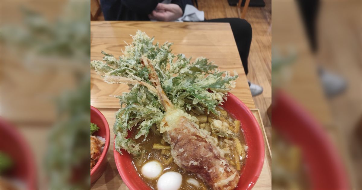 『豊橋カレーうどん』っていうのを注文したら写真と違ってデカかったうえに食い進めたら下に米が潜んでいて本当にありえない「うどんじゃないのこれ？米？」