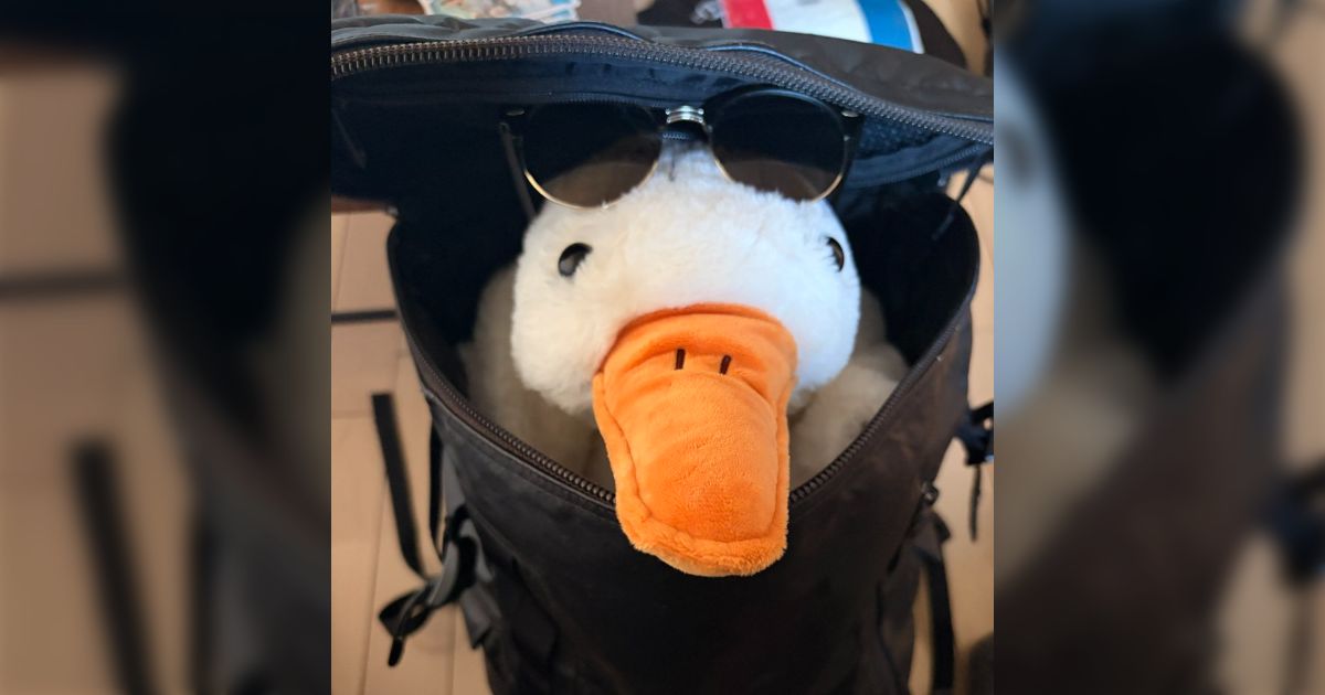 アヒルぬいぐるみと運命的な出会いをした人が徐々に離れられなくなり、"生活してるぬいぐるみ"を投稿する様子に癒やされる「親族に挨拶を済ませた」