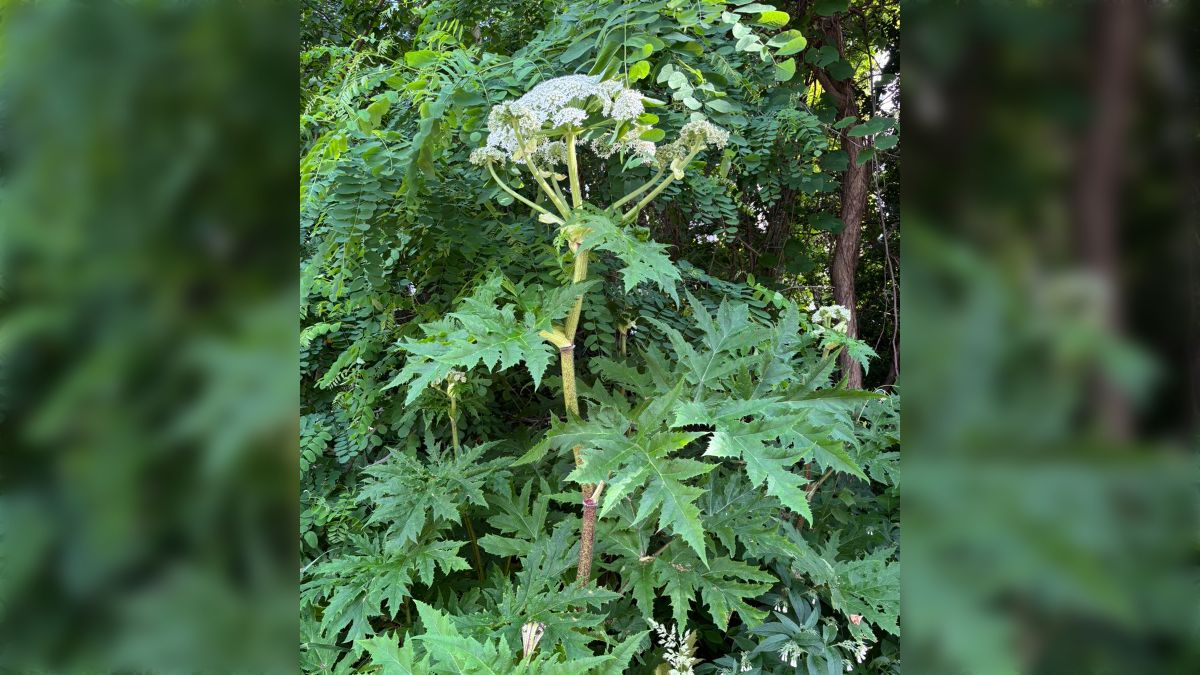 注意喚起のイメージ