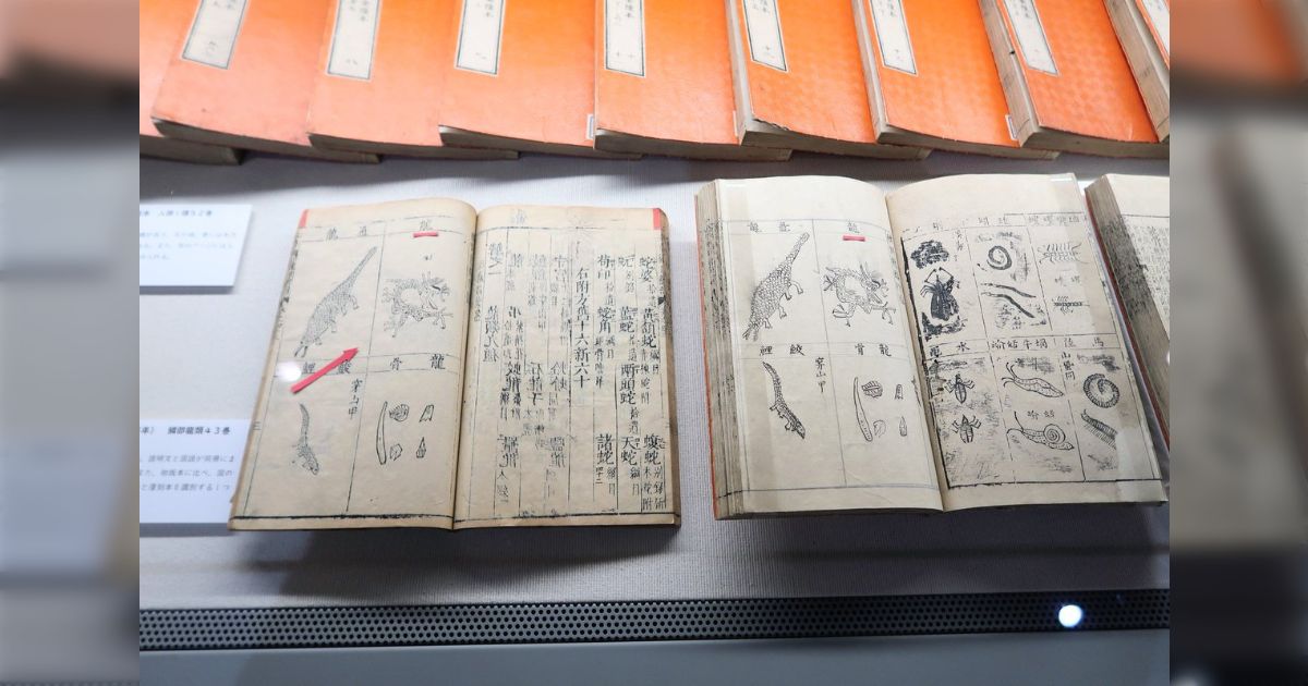 なんでも鑑定団で１億円の値がついた、400年以上前の薬学の図鑑「本草綱目」を見てきたが、「初版は急いで作ったので後刷りより絵が下手くそ」という解説がよかった