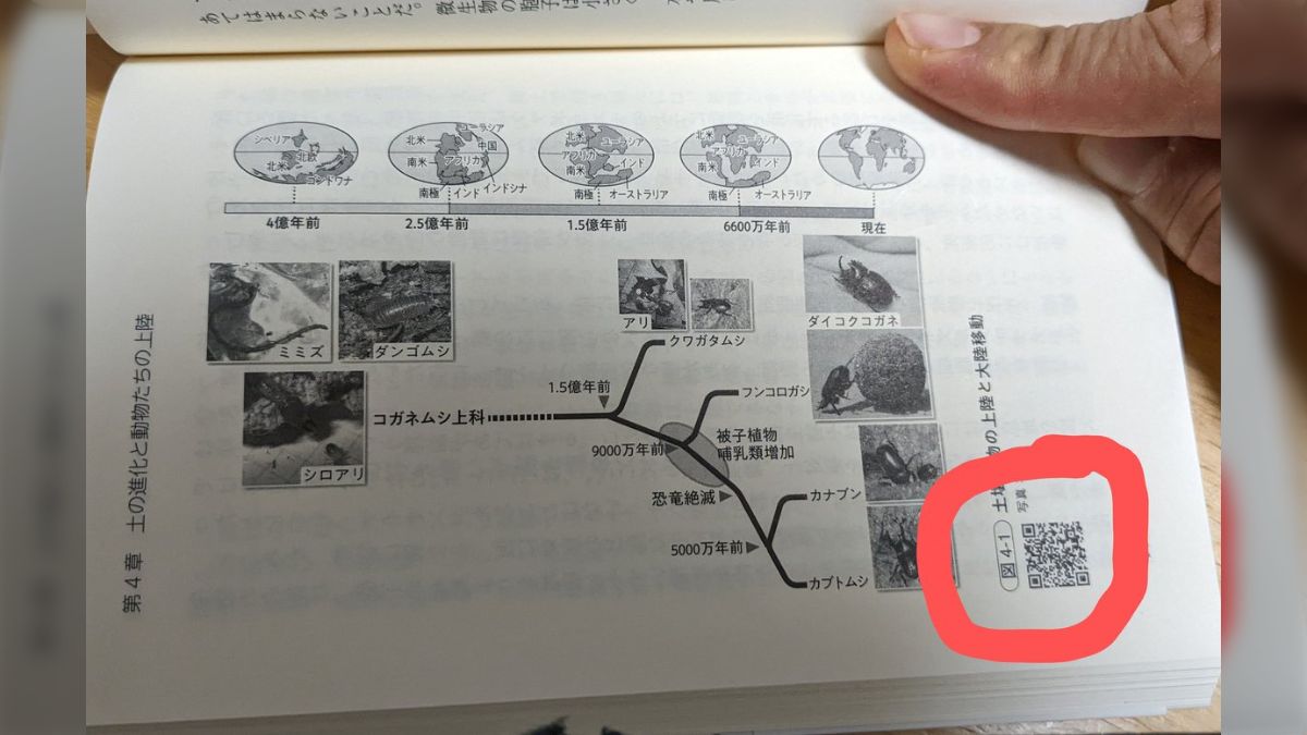 新書での斬新な試み『オールカラーで見せたい画像のために書籍でQR