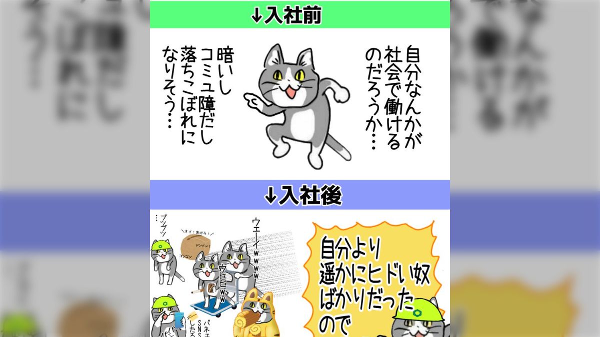 取引猫様 リクエスト 10点 まとめ商品 ネコ様 リクエスト 10点 まとめ