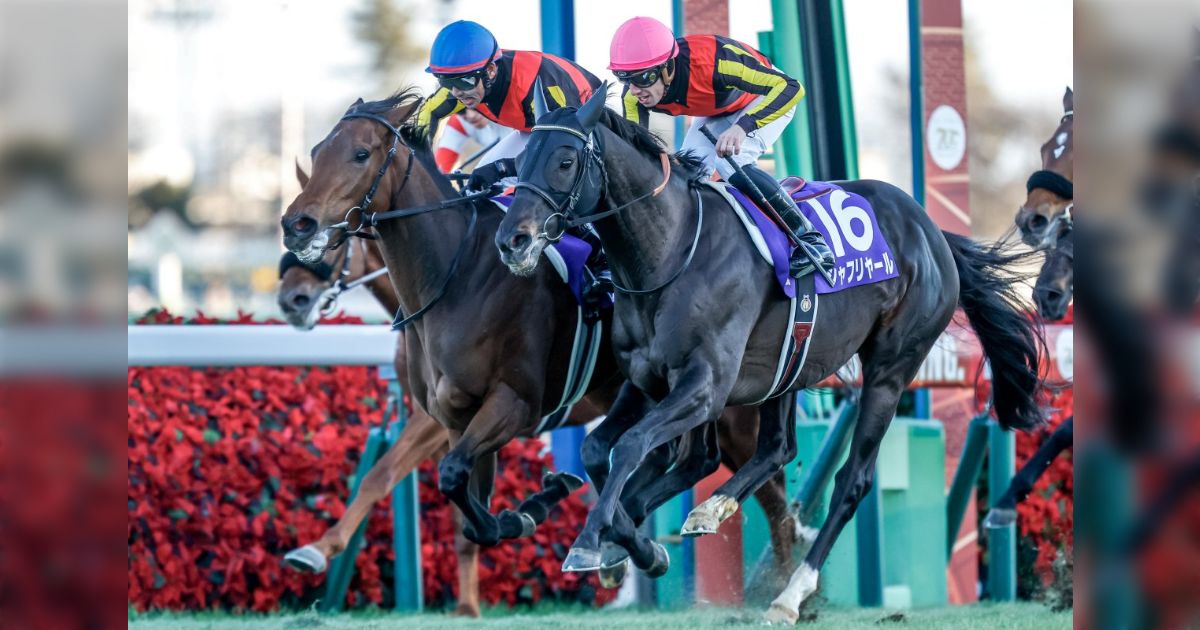 199e36a2e17707fc92cd845aadbcfa