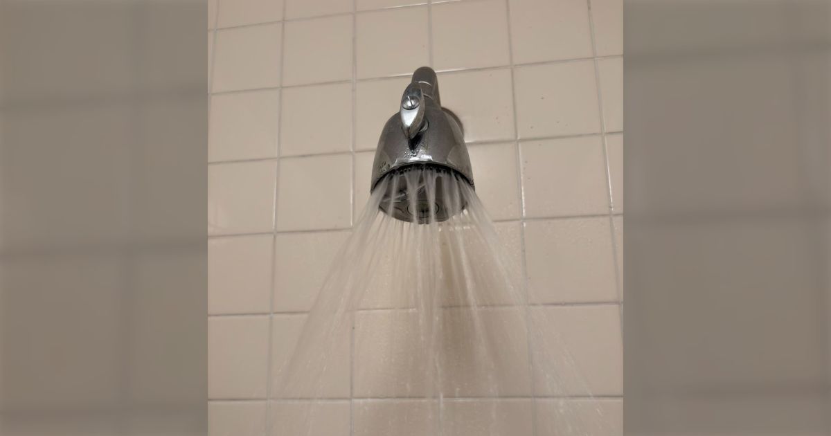 「アメリカのシャワーヘッドって、ほぼ固定式なの。なんでなんだろ」日本のみたいにホース式じゃないとお尻洗えないじゃん！アメリカ人はちゃんとお尻洗ってるの？→レスで米国大喜利が始まる