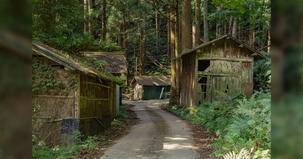 人がいなくなったまま朽ちていく『廃村』は、歴史が途絶えて風化する景色が物悲しくて胸が苦しい - Togetter [トゥギャッター]