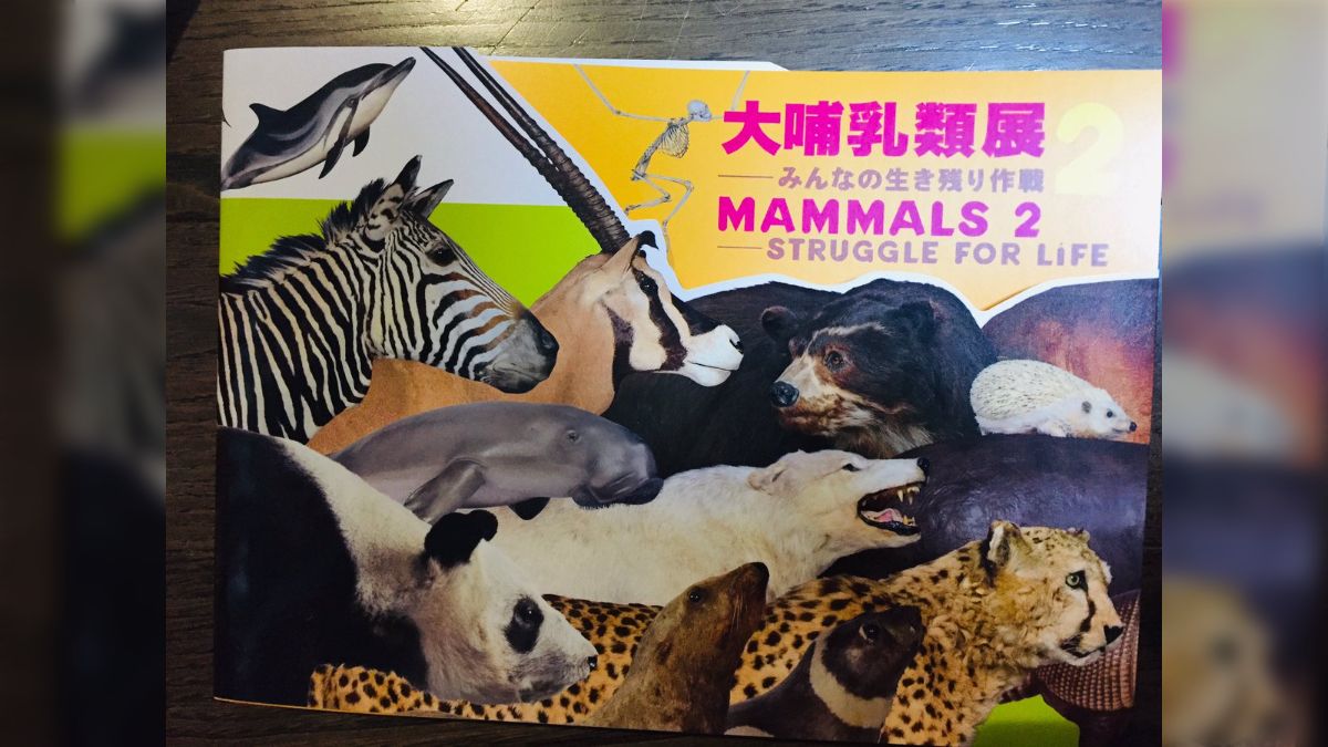 国立科学博物館の大哺乳類展2へ行って来た人々 - posfie