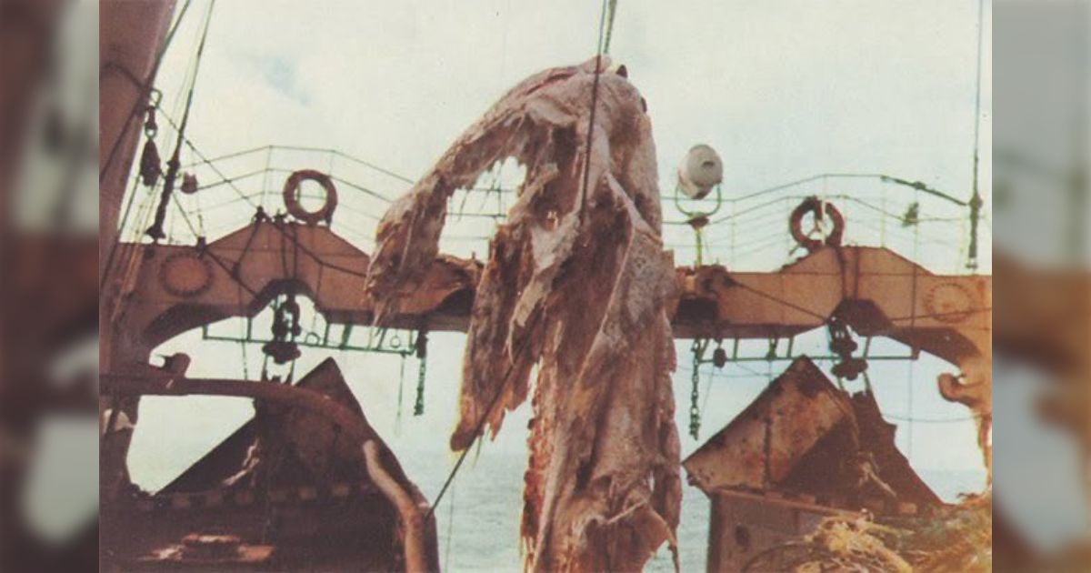 問題小説 深海恐竜(ニューネッシー)殺人事件 嵯峨島昭=宇能鴻一郎 問題小説 深海恐竜(ニューネッシー)殺人事件 嵯峨島昭=宇能鴻一郎 昭和