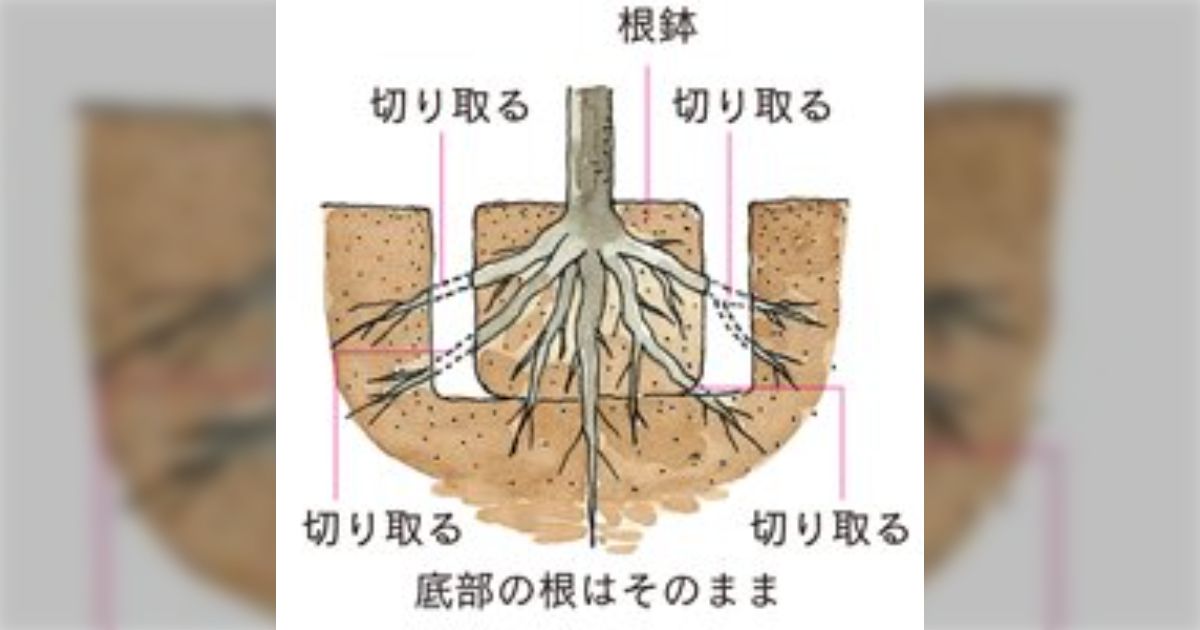 根回し
