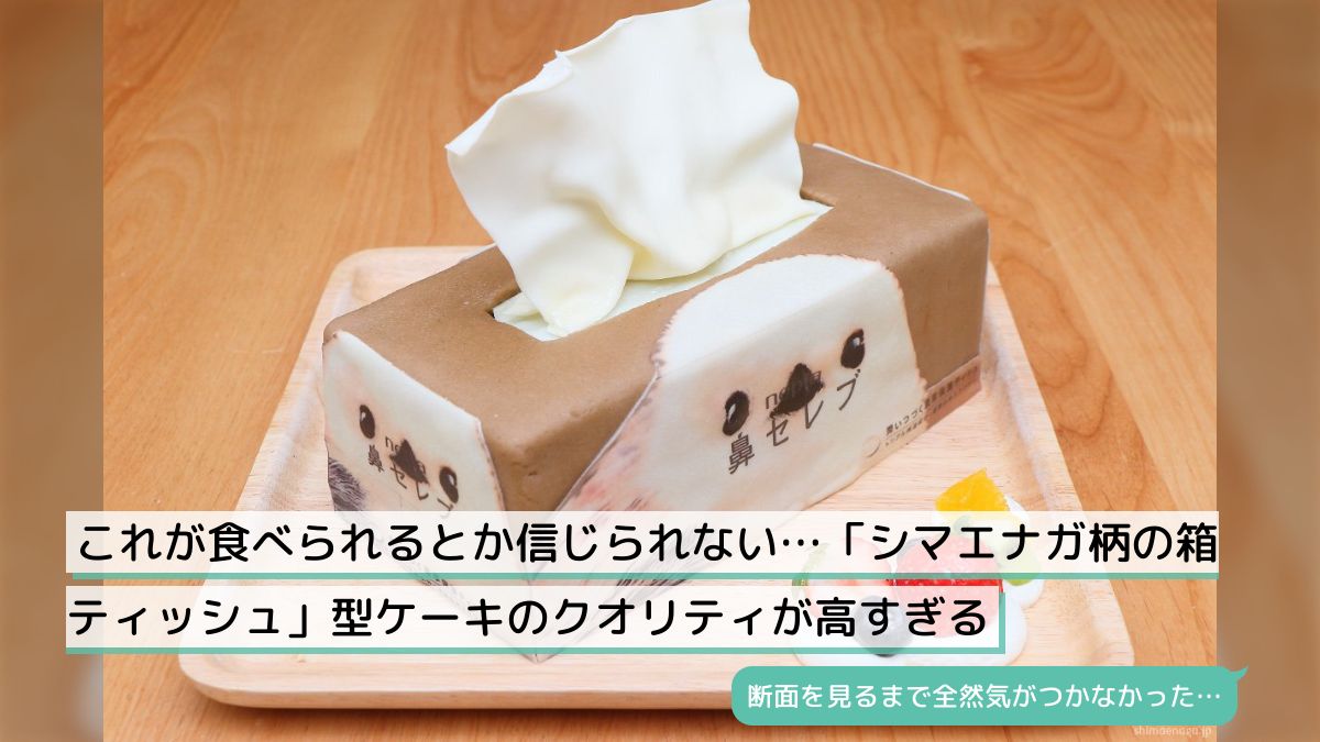 シマエナガ❁⃘*.゜レジンウエットティッシュフタ さくらんぼ 【公式通販】