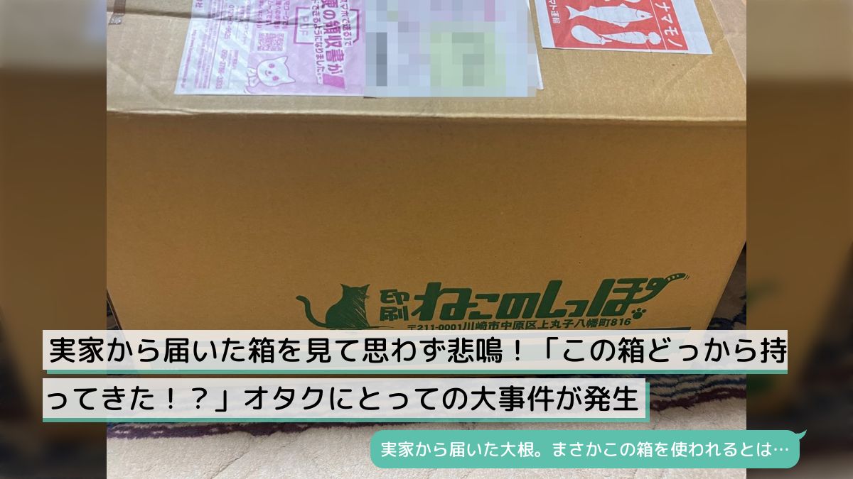 実家から届いた箱を見て思わず悲鳴！「この箱どっから持ってきた！？」オタクにとっての大事件が発生 - Togetter [トゥギャッター]