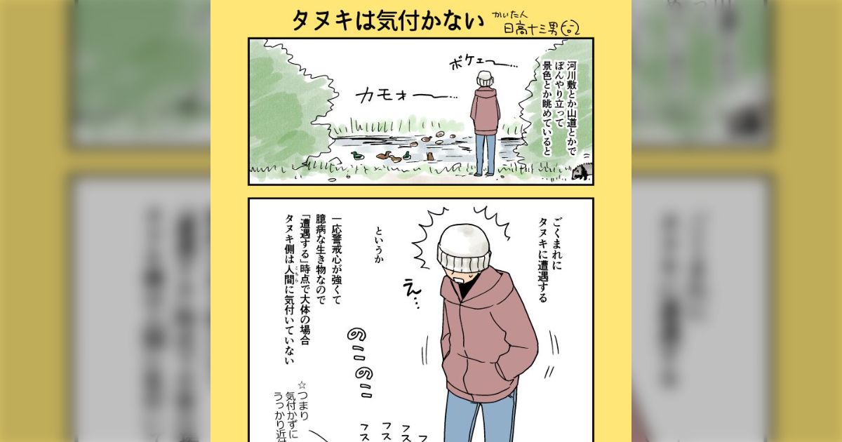 河川敷や山道でたまに遭遇するタヌキがうっかり至近距離に近づいてから「うわ！人間やがな！」と気づいてもたもたと逃げていくマンガ