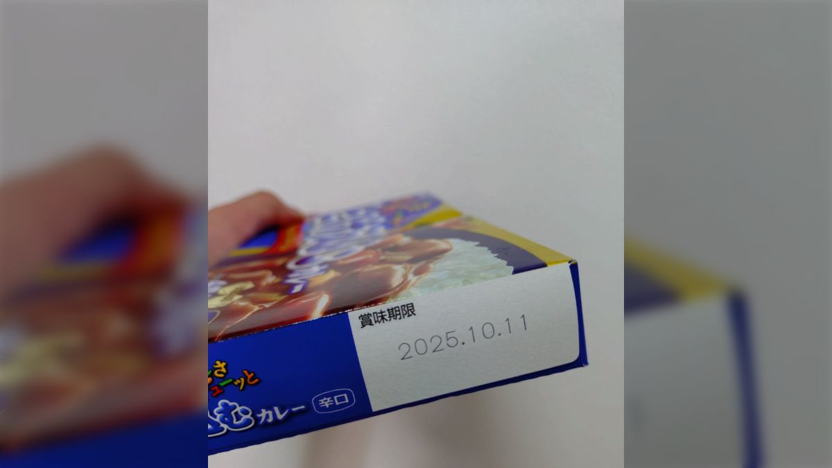 カレールー 賞味 期限切れ