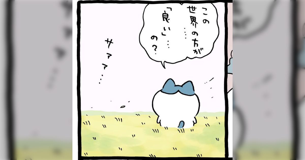 ハチワレにしか目がないの ちいかわの望んだ世界だと勘付くハチワレ、その目の前を飛ぶあの