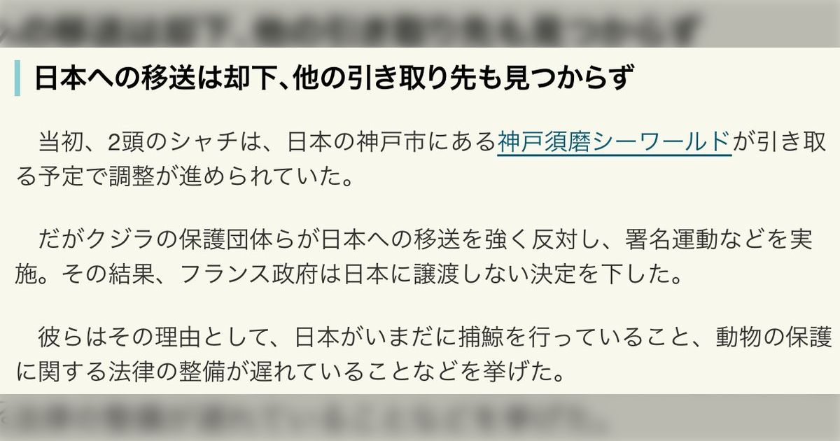 「イルカショーは可哀想」と水族館を廃園に追い込み、日本への輸送計画も捕鯨を理由に中止させた結果…汚染された劣悪環境に置き去りにされたシャチやイルカがいる話