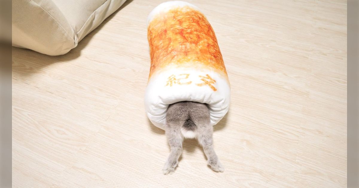 「紀文のちくわクッションが届いてからうさぎさんがずっとこの状態」うさぎの本能にもフィットしたらしい