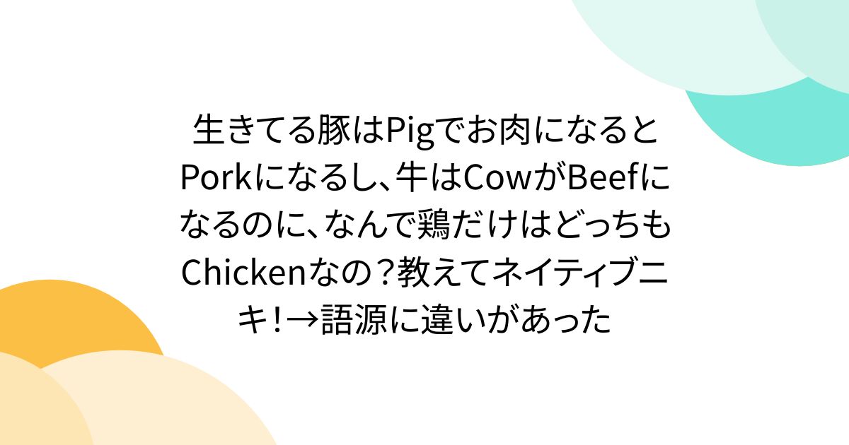 生きてる豚はPigでお肉になるとPorkになるし、牛はCowがBeefになるのに、なんで鶏だけはどっちもChickenなの？教えてネイティブニキ！→語源に違いがあった