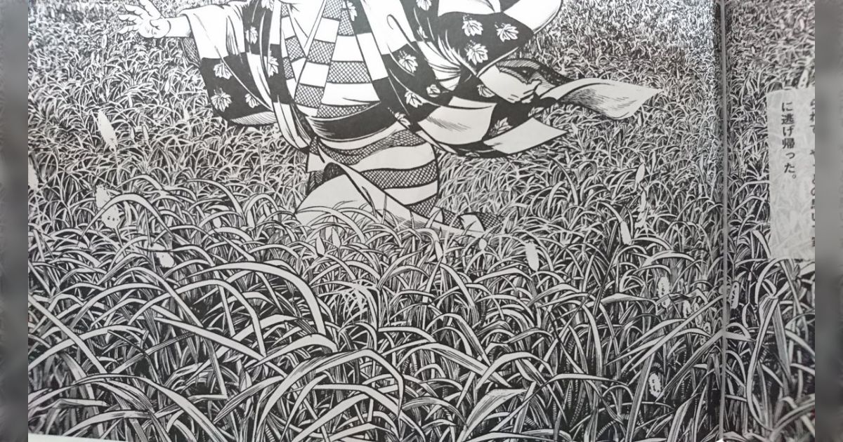 水木しげる 妖怪原寸原画 複製原画9点 手ぬぐい 233/1000・解説 水木