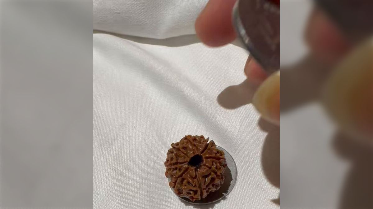 どういう原理？インド人がよくお守りにつけている「ルドラクシャの実」はコインで回転すると聞いてやってみたら本当にめちゃ回る (2ページ目) -  Togetter