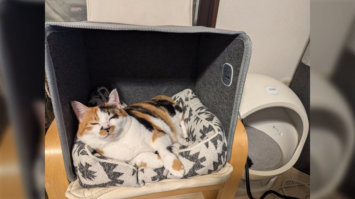 M3様用個別オーダーページその2 パネル生地 ねこ*いぬ*女の子*バッグ等 M3様用個別オーダーページ パネル生地 ねこ*いぬ*女の子*バッグ