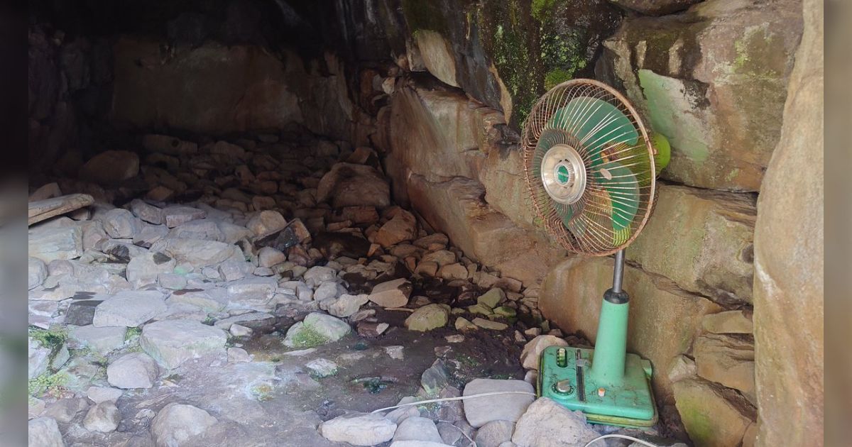 そういえばこないだ古墳行ったら石室に珍しい副葬品残ってたんですよ「色合い的に青銅器でしょうか…」「これは翡翠が贅沢に使用されてますなぁ」