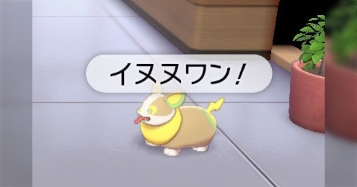 イヌヌワン」でTwitter検索するとコーギーの画像が大量に見つけられる