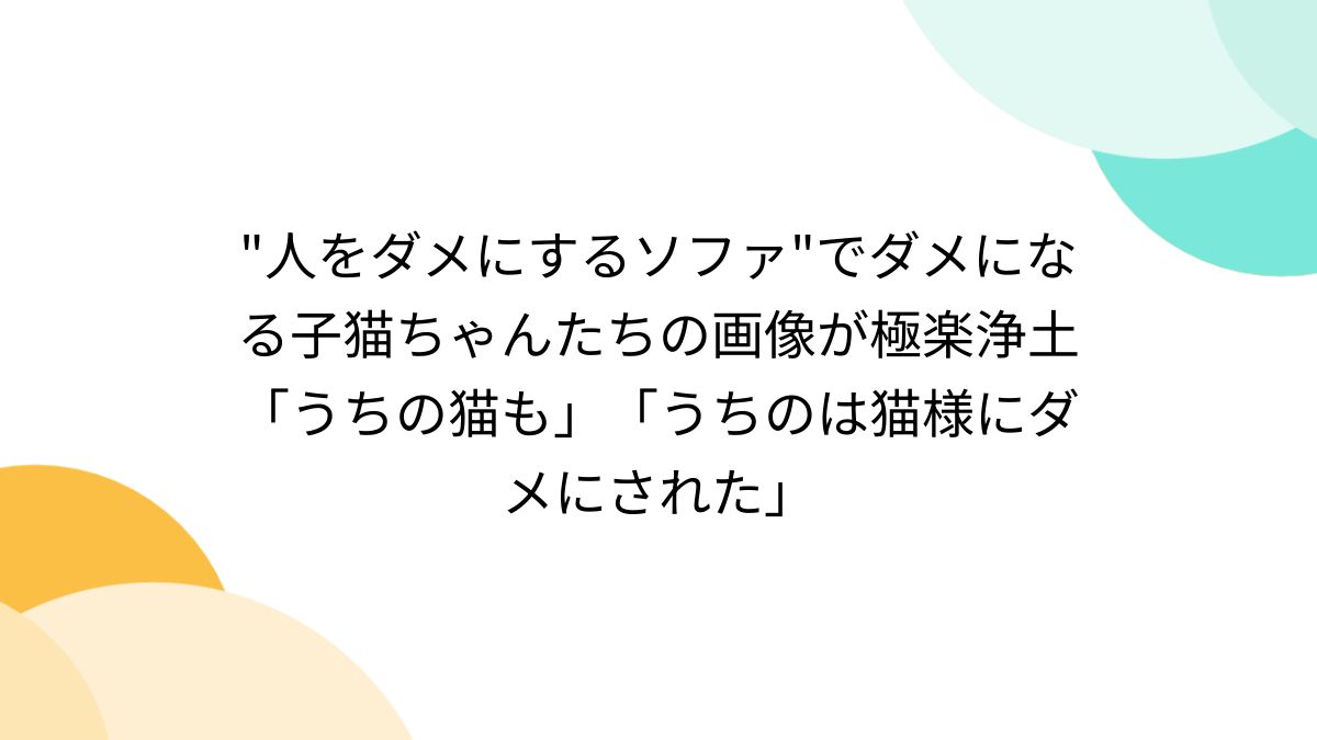 だめねこ様専用ページ】 【公式通販】