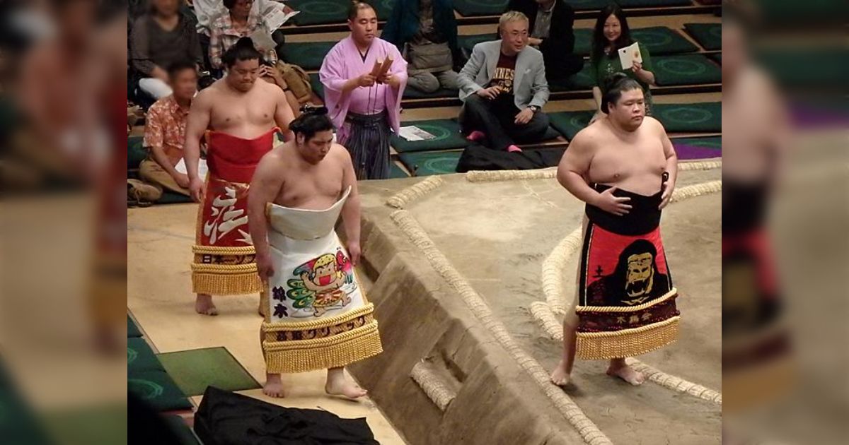 【画像】斬新なデザインがいっぱい! お相撲さんの化粧まわしコレクション - Togetter