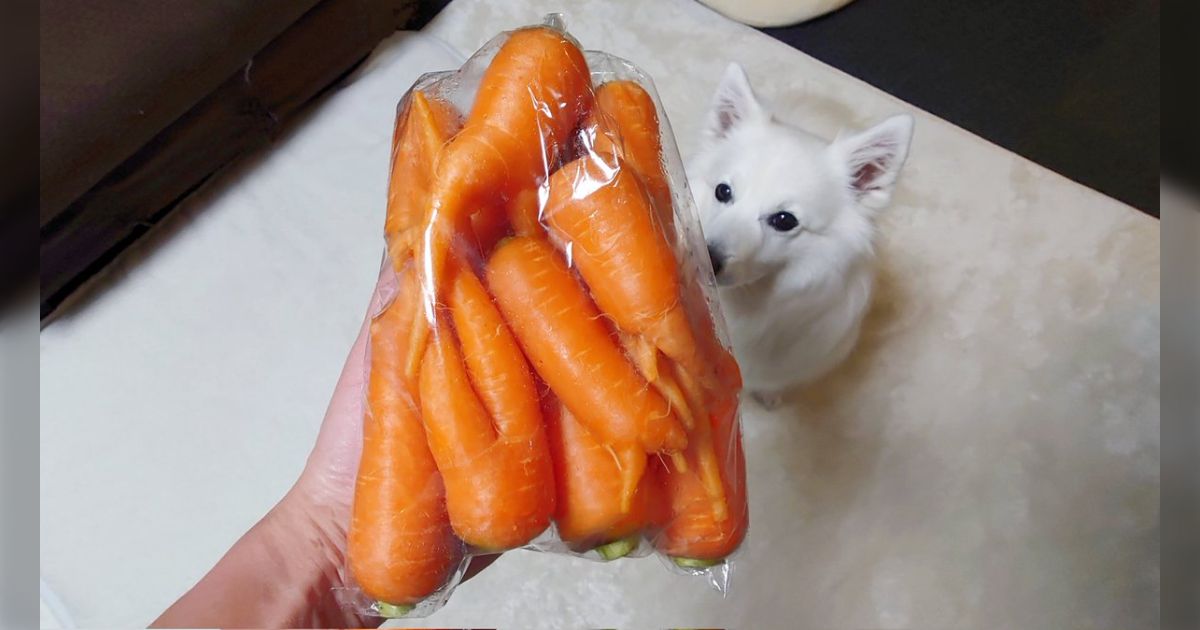 袋に入っている時点で見た目がワクワクするにんじんを購入し開封