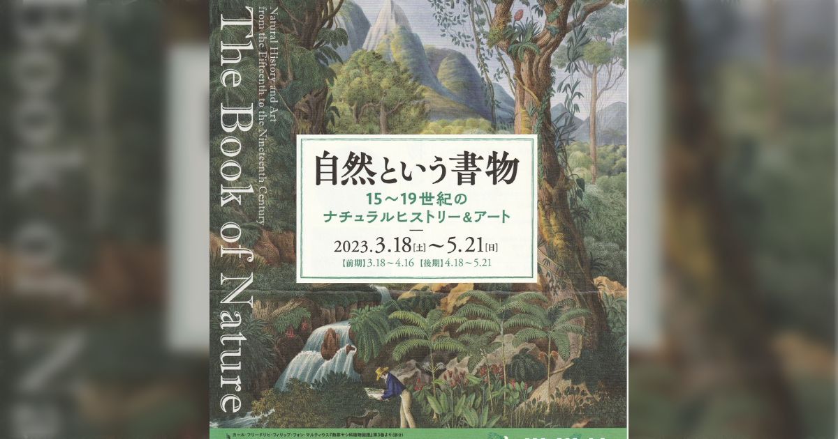 自然という書物展＠町田市立国際版画美術館 (3ページ目) - Togetter [トゥギャッター]